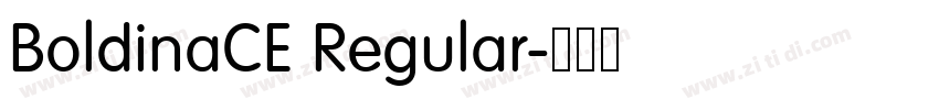 BoldinaCE Regular字体转换 BoldinaCE Regular字体转换